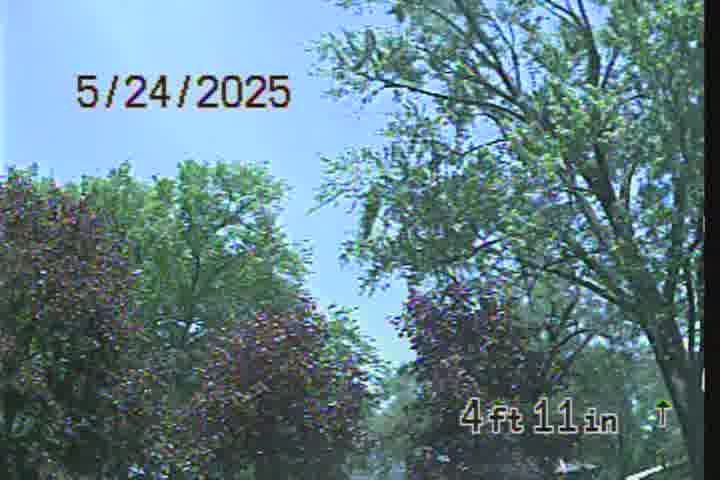 Frame